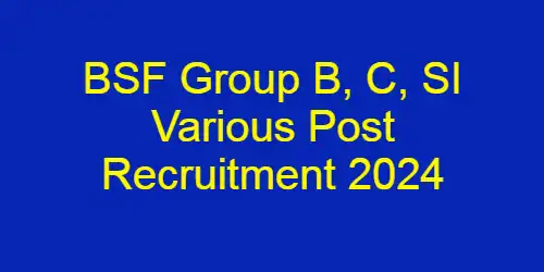 BSF Group B, C Constable, HC, ASI, SI Various Post Recruitment 2024