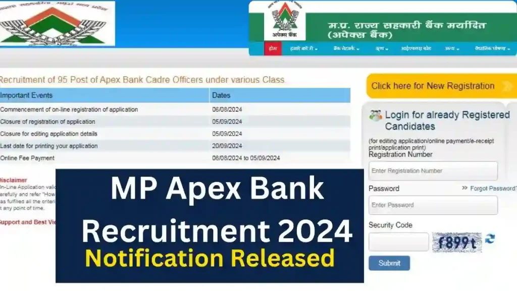 MP Apex Bank Recruitment 2024